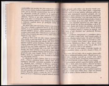 Lion Feuchtwanger: Zaslíbená země