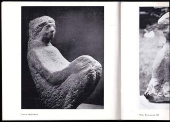 Hedvika Zaorálková: Zasloužilá umělkyně Hedvika Zaorálková