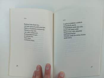 Bohdan Chlíbec: Zasněžený popel