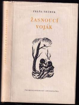 Žasnoucí voják