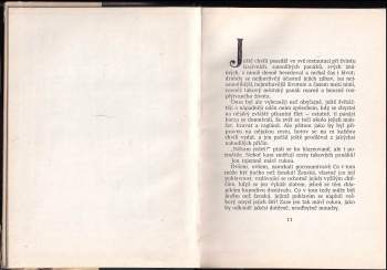 Josef Karel Šlejhar: Zátoka smrti