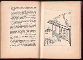 Joe Hloucha: Zátopa