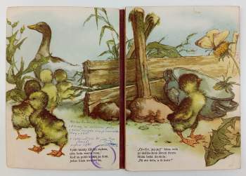 Mária Rázusová-Martáková: Zatúlané húsa