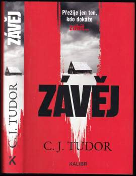 Závěj