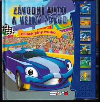 Závodní auto a velký závod