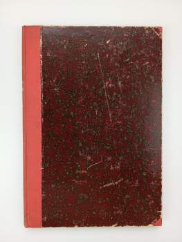 Maurice Diard: Závodník (Le recordman)