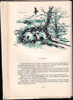 Rudolf Luskač: Závoj zeleného ticha