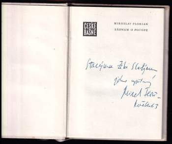 Miroslav Florian: Záznam o potopě