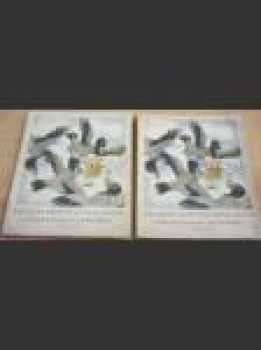 Zázračná cesta Nielsa Bolgerssona s Divými husami po Švédsku