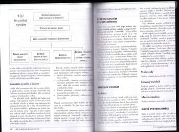 Robert Morse: Zázračná detoxikace