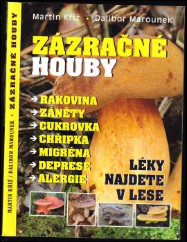 Zázračné houby