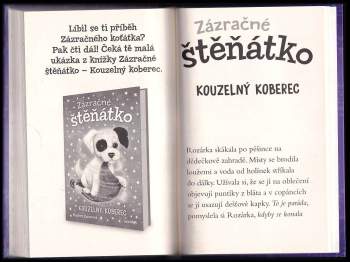 Hayley Daze: Zázračné koťátko 2