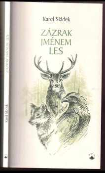 Zázrak jménem les