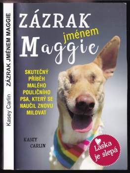 Zázrak jménem Maggie