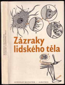 Zázraky lidského těla