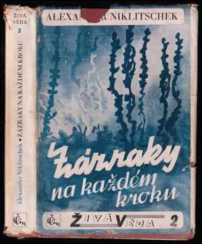 Zázraky na každém kroku