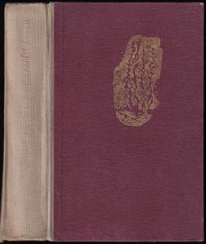 Zázraky na každém kroku