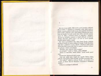 Zuzka Zguriška: Zbojnické chodníčky