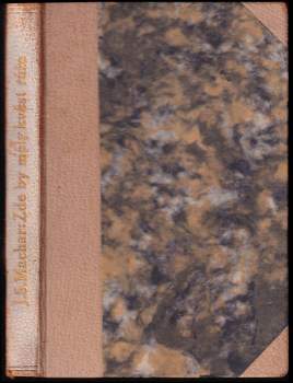 Zde by měly kvést růže