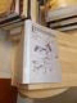 Zdeněk Nejedlý v zrcadle své vědecké kritiky