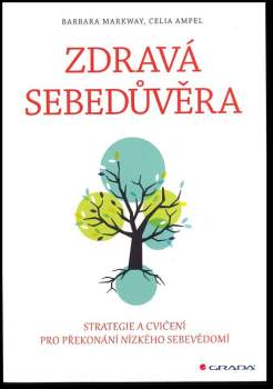 Zdravá sebedůvěra