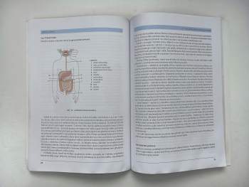 Miloš Velemínský: Zdraví a nemoc