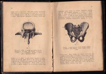 Duchoslav Panýrek: Zdravověda