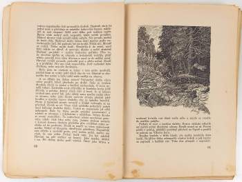 Jaroslav Hubálek: Ze stínů karpatských pralesů