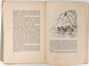 Jaroslav Hubálek: Ze stínů karpatských pralesů