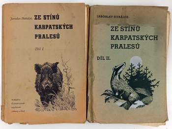 Ze stínů karpatských pralesů