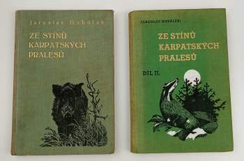 Ze stínů karpatských pralesů