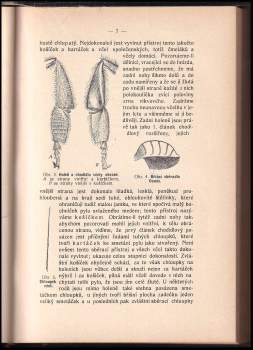 František Klapálek: Ze života hmyzu