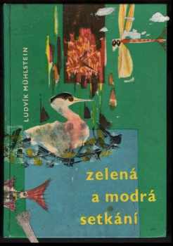 Zelená a modrá setkání
