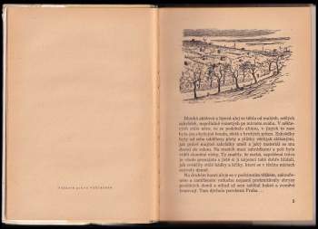 Jana Zemanová: Zelená Karkulka