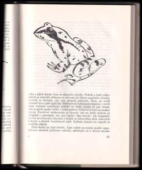 Jaromír Tomeček: Zelená ozvěna