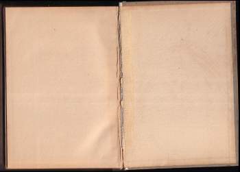 Gustav Meyrink: Zelená tvář