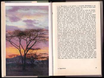 Ernest Hemingway: Zelené pahorky africké