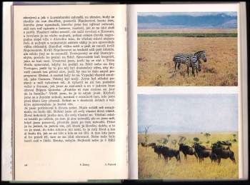 Ernest Hemingway: Zelené pahorky africké