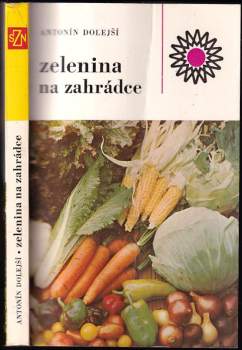 Zelenina na zahrádce