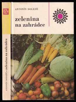 Zelenina na zahrádce