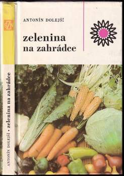 Zelenina na zahrádce