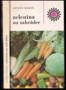 Zelenina na zahrádce