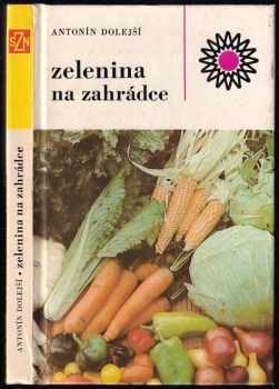 Zelenina na zahrádce