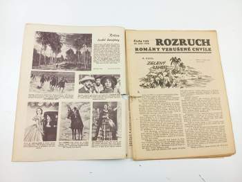 Heinz Geck: Zelený kámen , Rozruch 143, ročník III., č. 38.