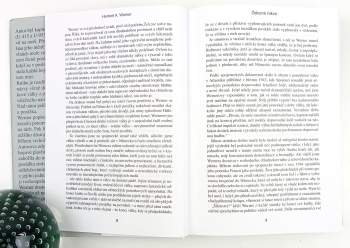 Herbert A Werner: Železné rakve