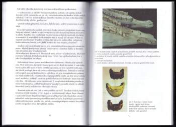 Hiltrud Strasser: Železo v koňské hubě