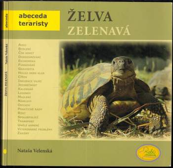 Želva zelenavá