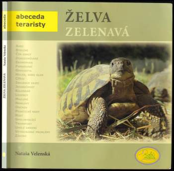 Želva zelenavá