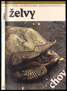 Želvy