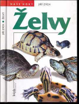 Želvy